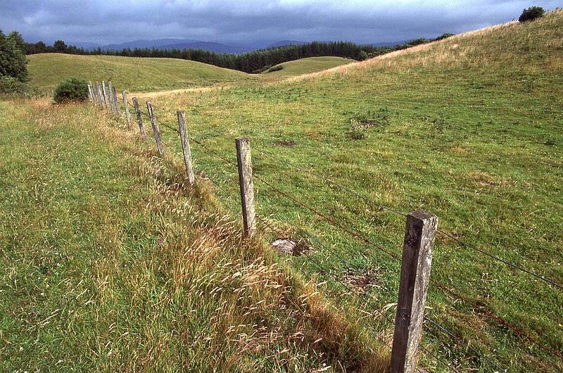 WT 3100 352-13 UK-3.jpg